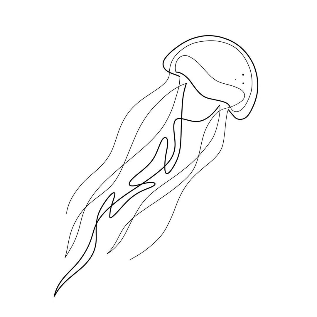 Jellyfish illustration